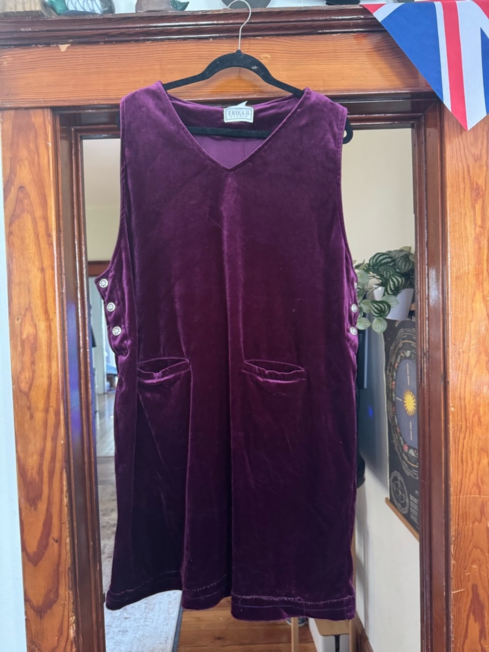 Sleeveless Velvet Mini Dress in Deep Plum